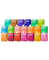 EB Designs Elf Bar PI9000 Disposable Vape | 9000 P...